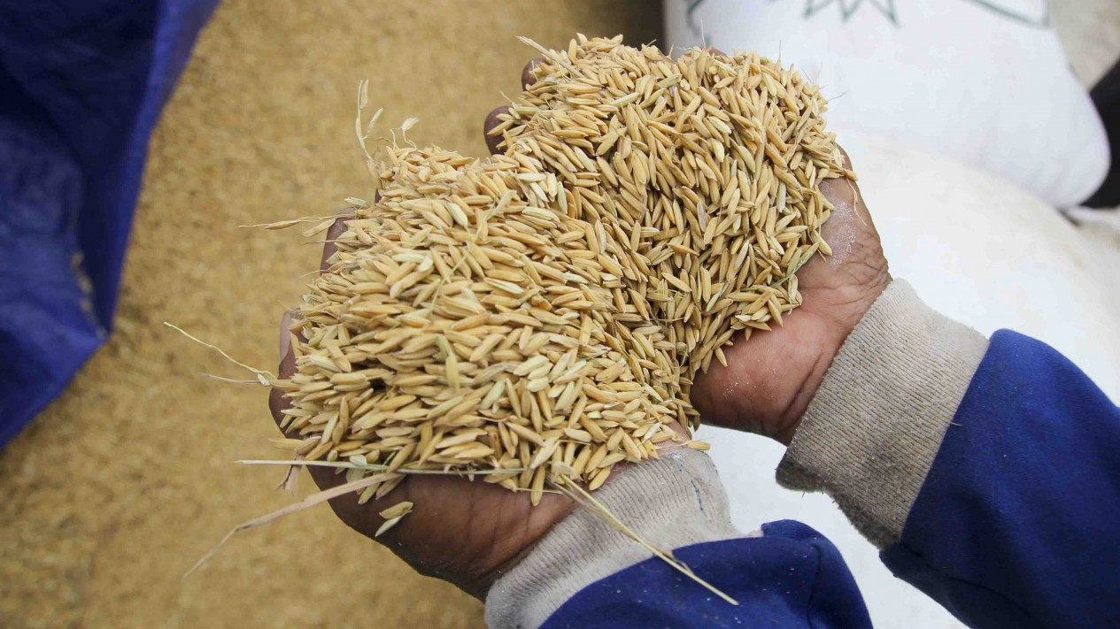 Berkurangnya Lahan Pertanian Ibukota