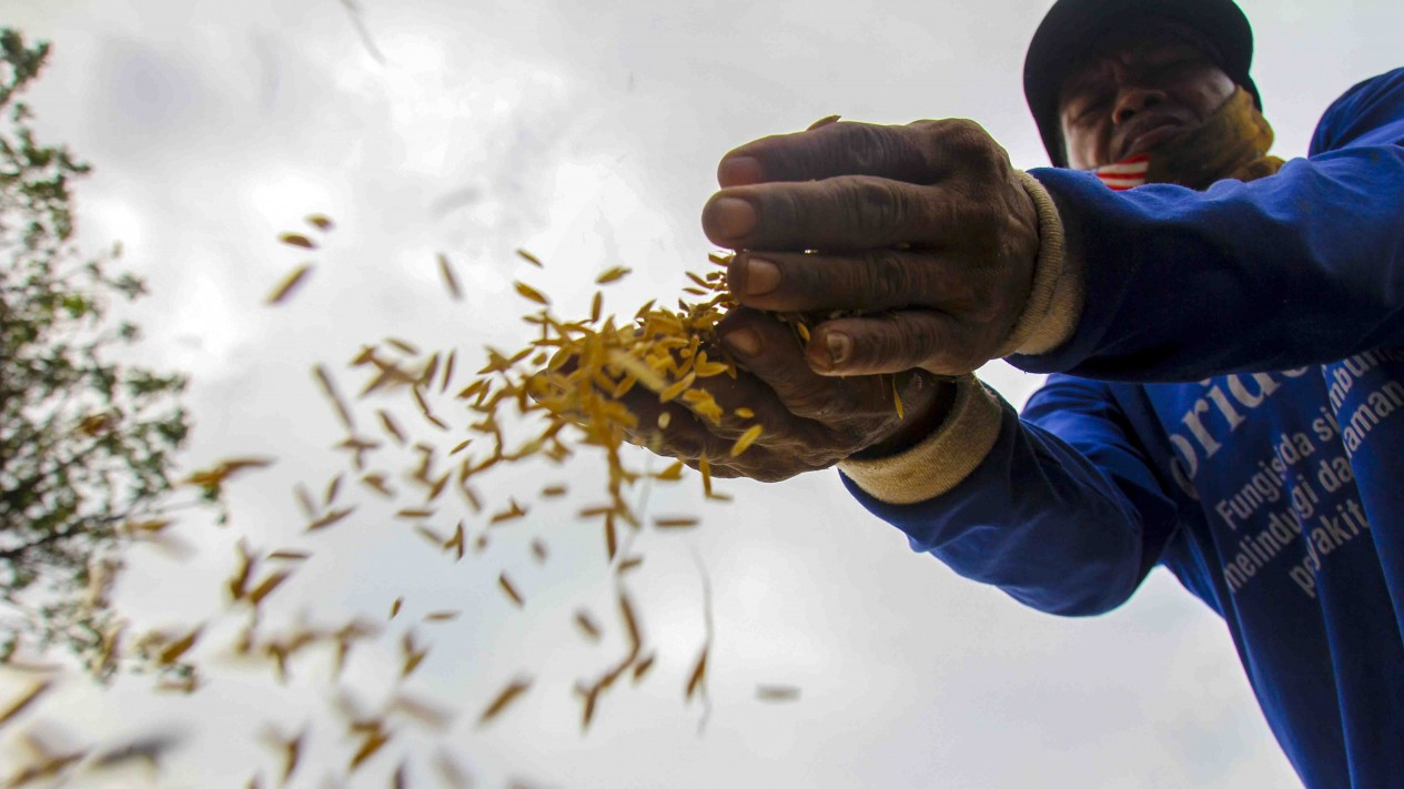 Berkurangnya Lahan Pertanian Ibukota