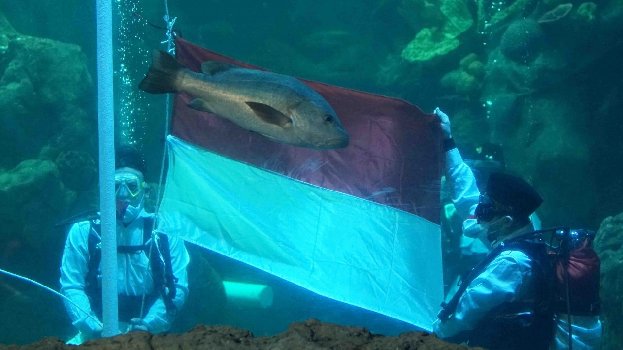 Pengibaran Bendera Bawah Air di Sea World Ancol