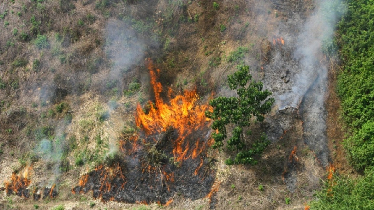 Kebakaran Hutan di Pegunungan Meratus