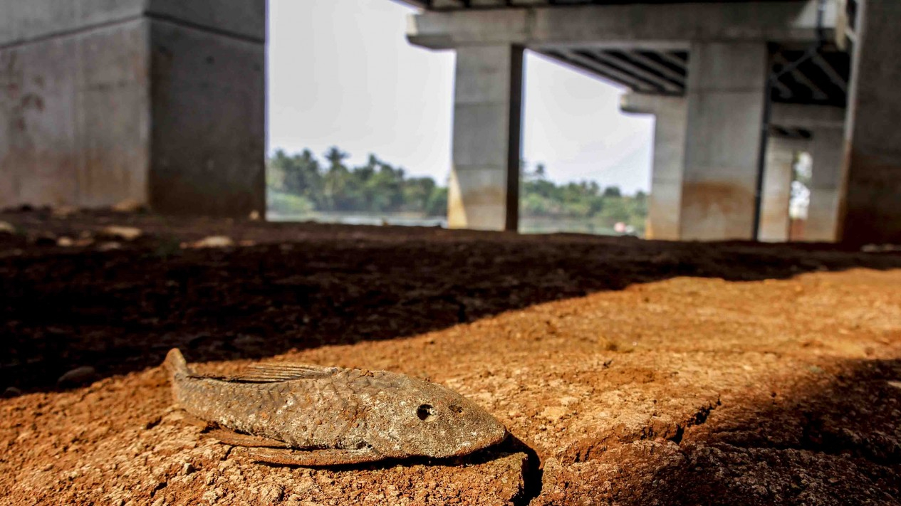 Memancing di Bawah Kolong Tol Serpong