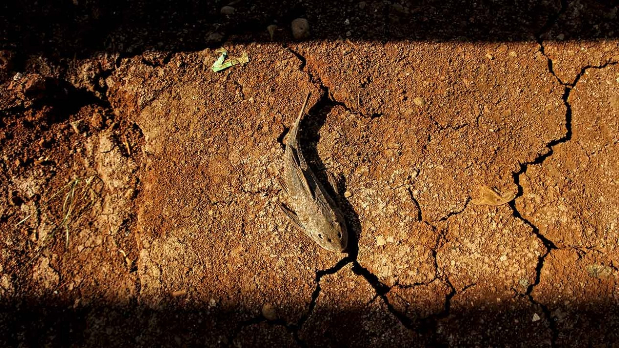 Memancing di Bawah Kolong Tol Serpong