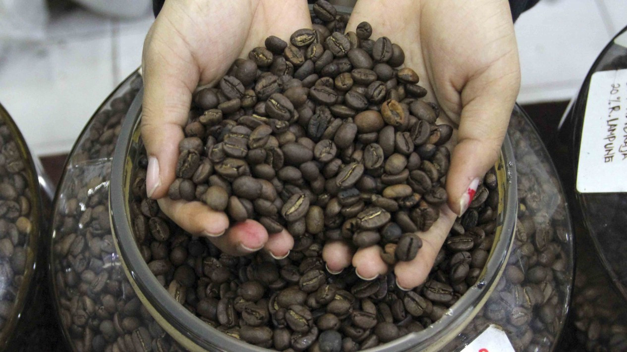 Target Produksi Kopi Dalam Negeri