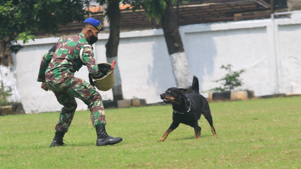 KSAD Resmikan Smart Instalasi Tahanan Militer