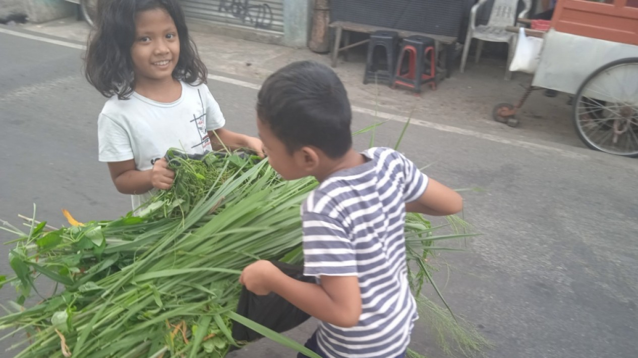 Jelang Hari Raya Idul Adha, Permintaan Hewan Kurban Menurun