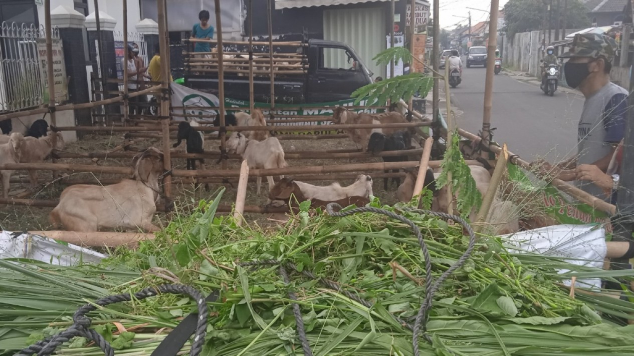 Jelang Hari Raya Idul Adha, Permintaan Hewan Kurban Menurun