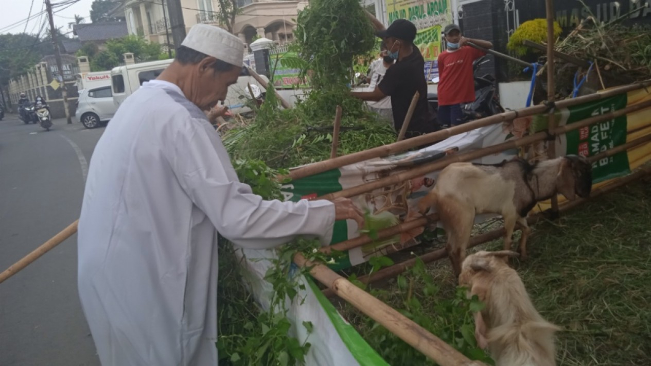 Jelang Hari Raya Idul Adha, Permintaan Hewan Kurban Menurun