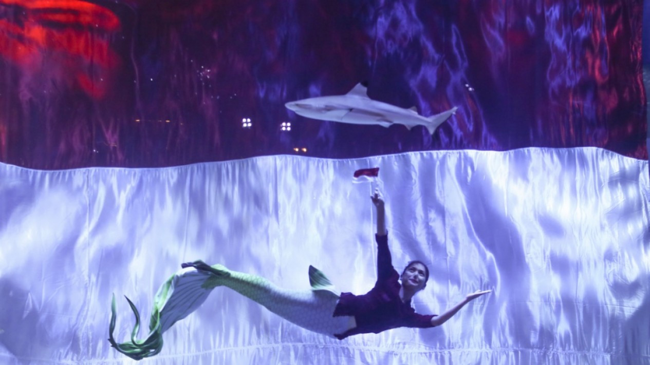 Pengibaran Bendera Merah Putih Raksasa di Jakarta Aquarium