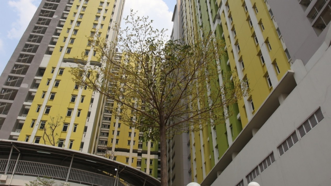 Penampakan Rusun Baru di Pasar Rumput