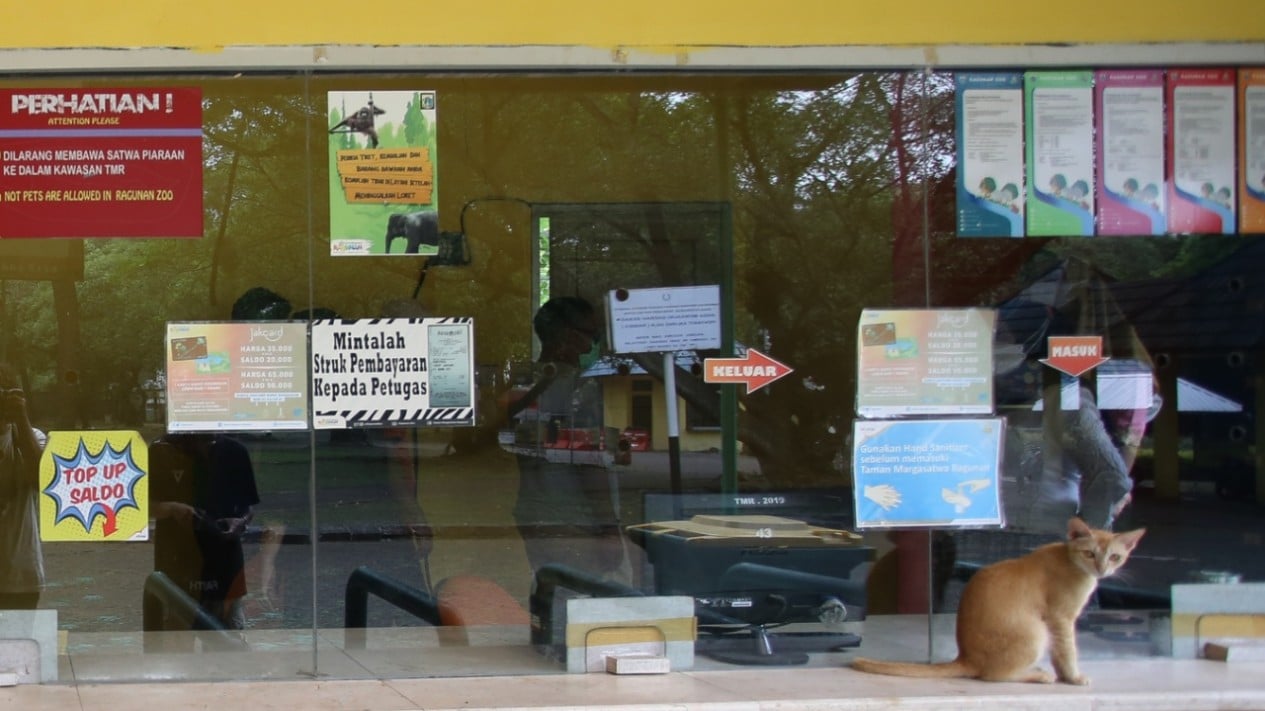 Kebun Binatang Ragunan Bersikap Buka Kembali