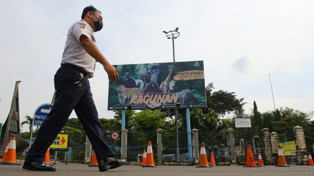 Kebun Binatang Ragunan Bersikap Buka Kembali