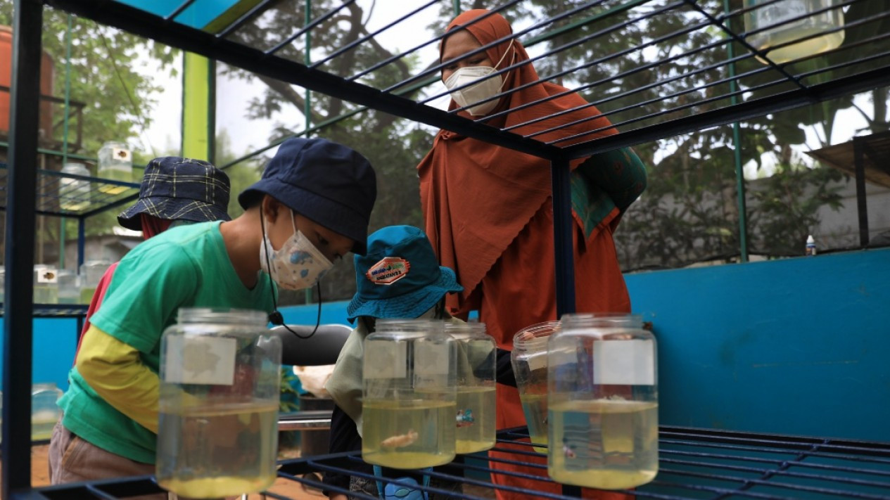 Wisata Edukasi Ragunan