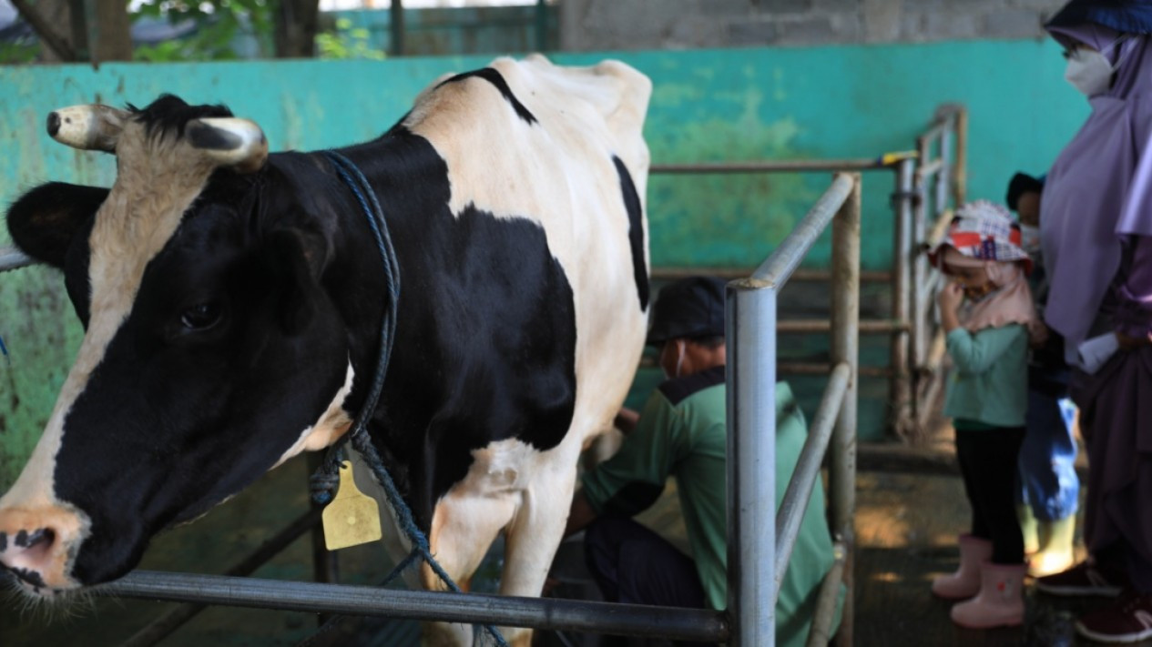 Wisata Edukasi Ragunan