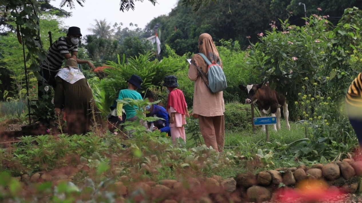 Wisata Edukasi Ragunan