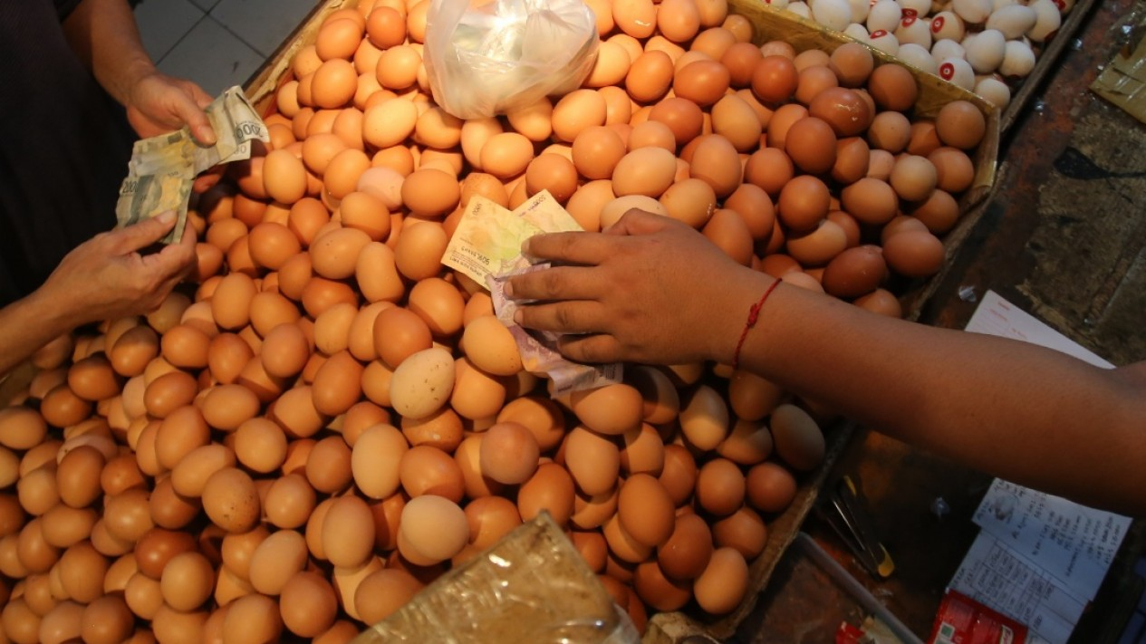 Harga Telur Naik