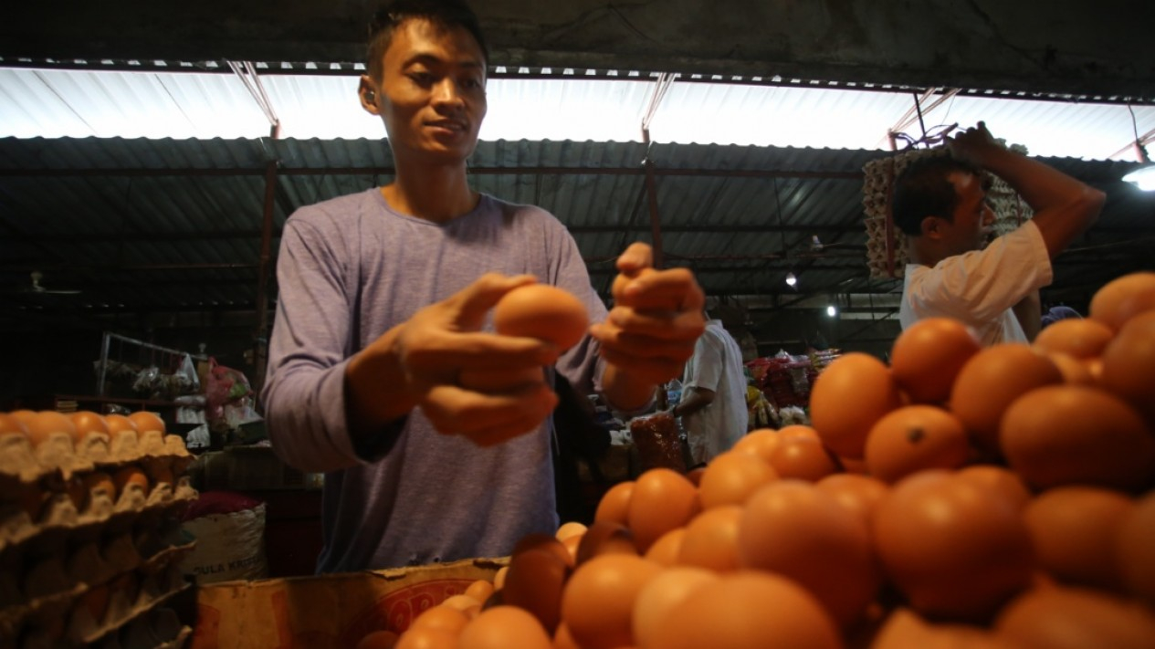 Harga Telur Naik