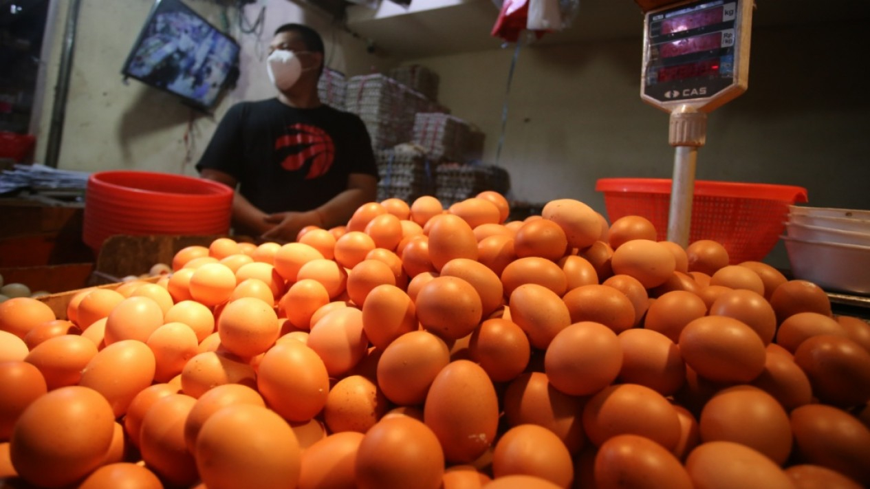 Harga Telur Naik