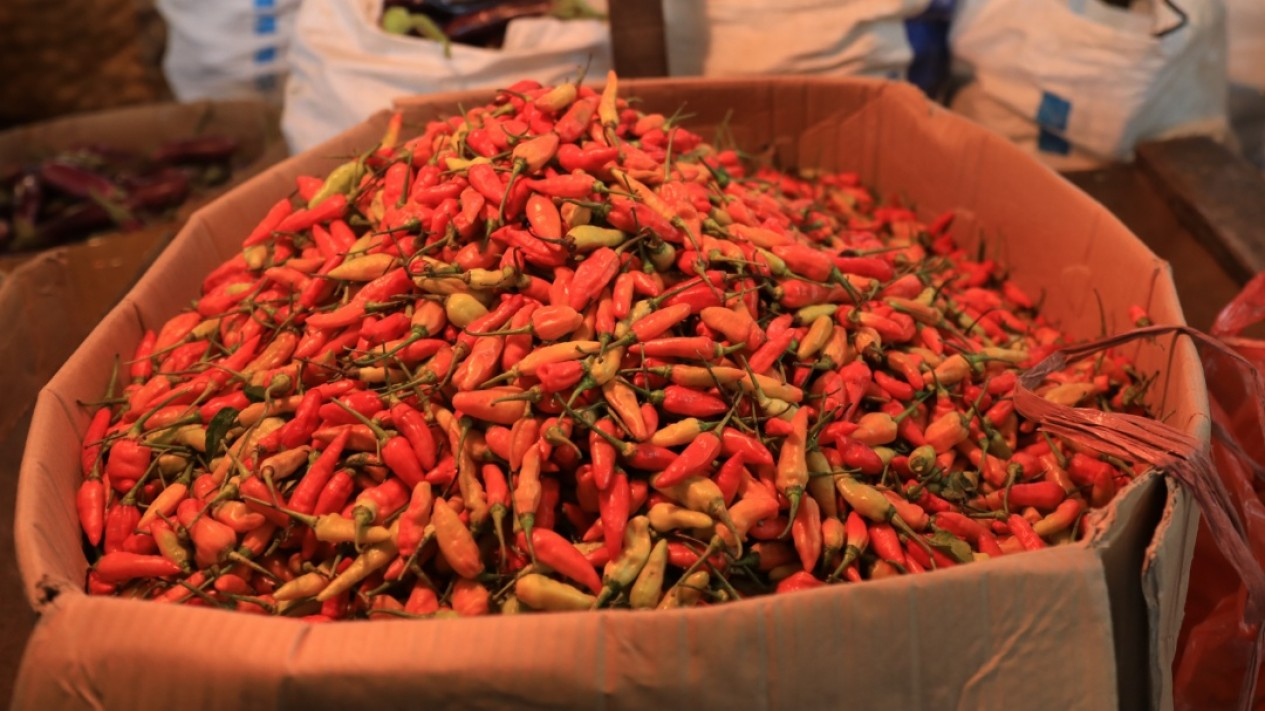 Harga Cabai Rawit Merah di Jakarta Tembus Rp140rb Perkilo