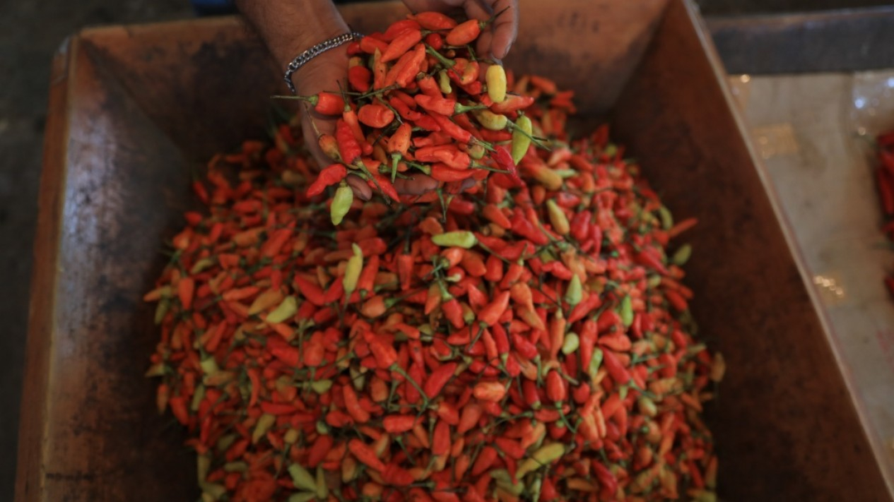 Harga Cabai Rawit Merah di Jakarta Tembus Rp140rb Perkilo