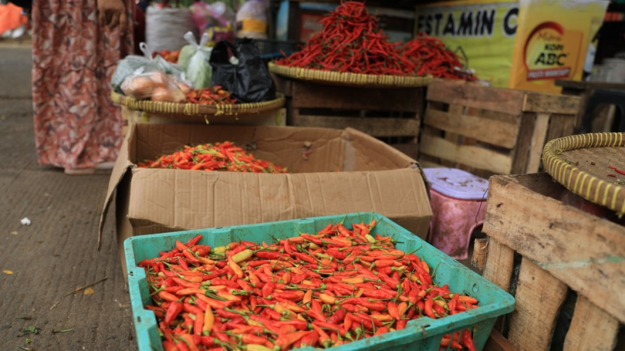 Harga Cabai Rawit Merah di Jakarta Tembus Rp140rb Perkilo