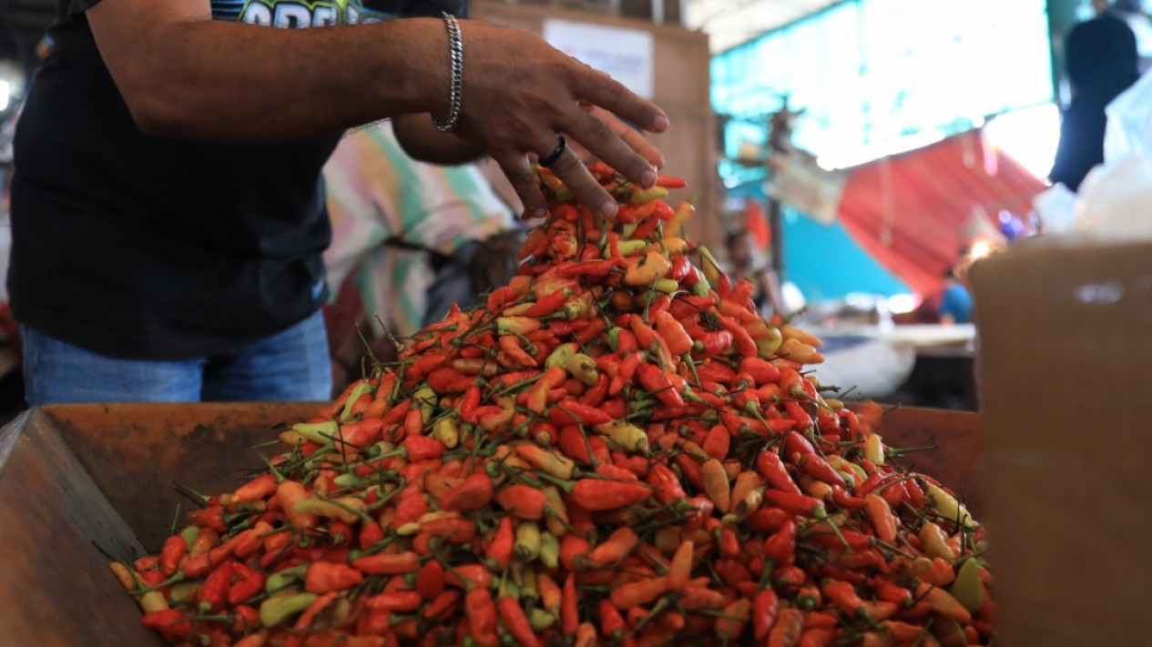 Harga Cabai Rawit Merah di Jakarta Tembus Rp140rb Perkilo