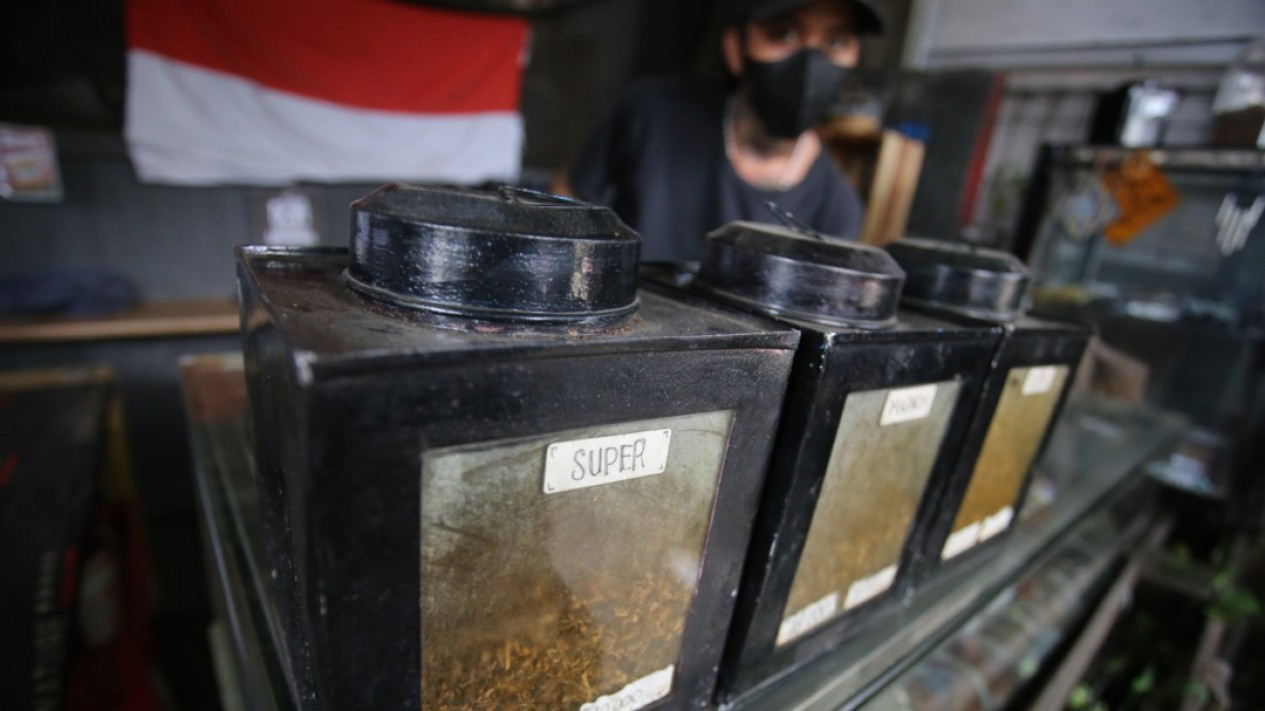 Cukai Rokok Naik, Tembakau Jadi Primadona Baru Bagi Perokok - Vlix.id