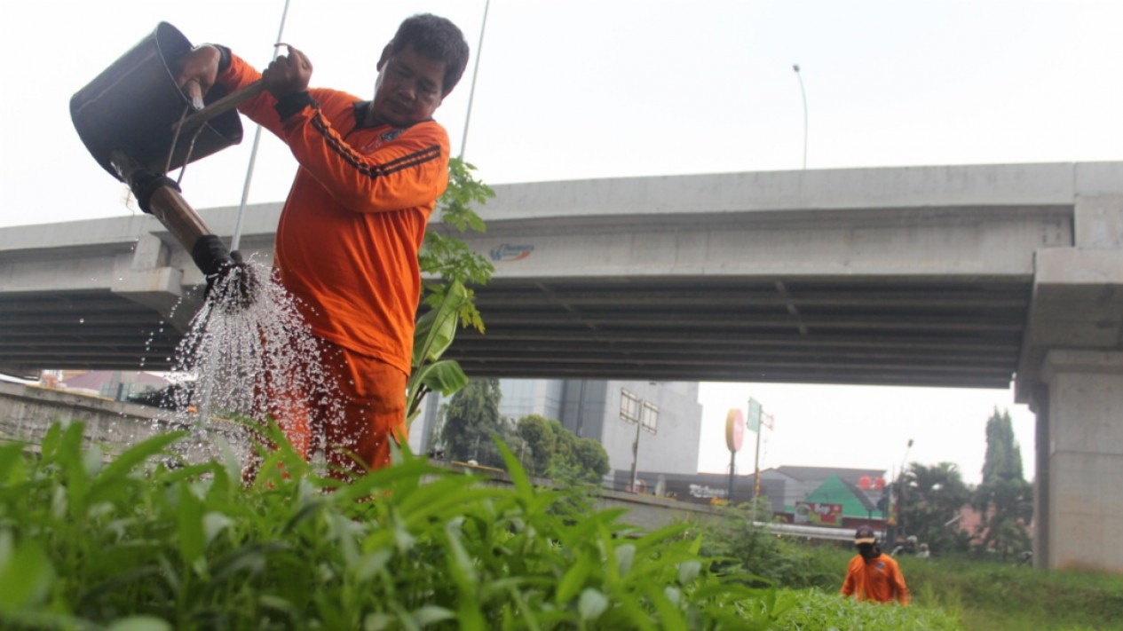 Manfaatkan Lahan Pinggir BKT, PPSU Tanam Sayur