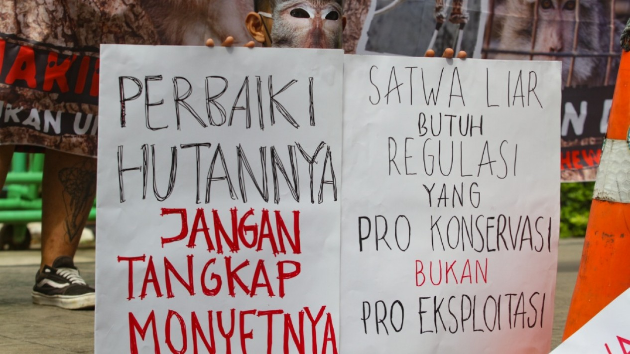 Aksi Tolak Perdagangan Monyet di Indonesia