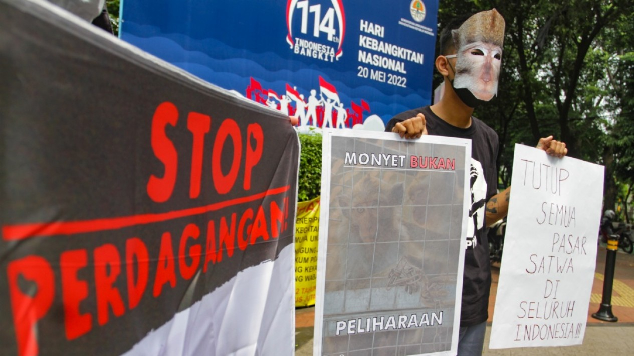 Aksi Tolak Perdagangan Monyet di Indonesia