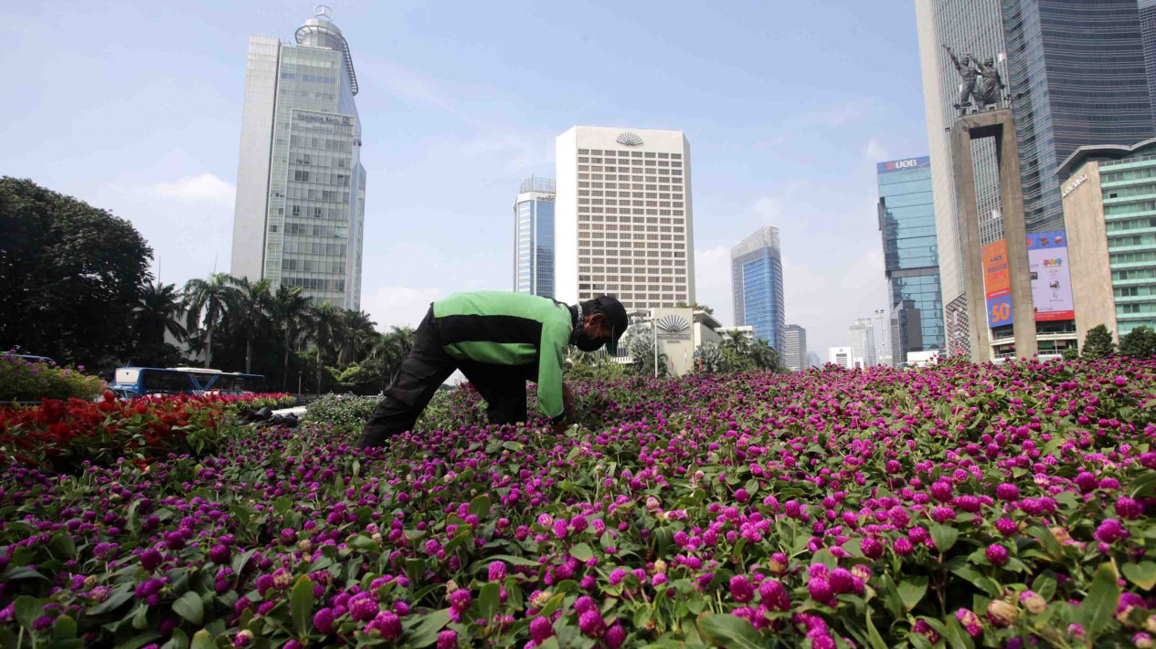 Tertata Rapi, Bunderan HI Penuh Bunga Sambut HUT Jakarta 495