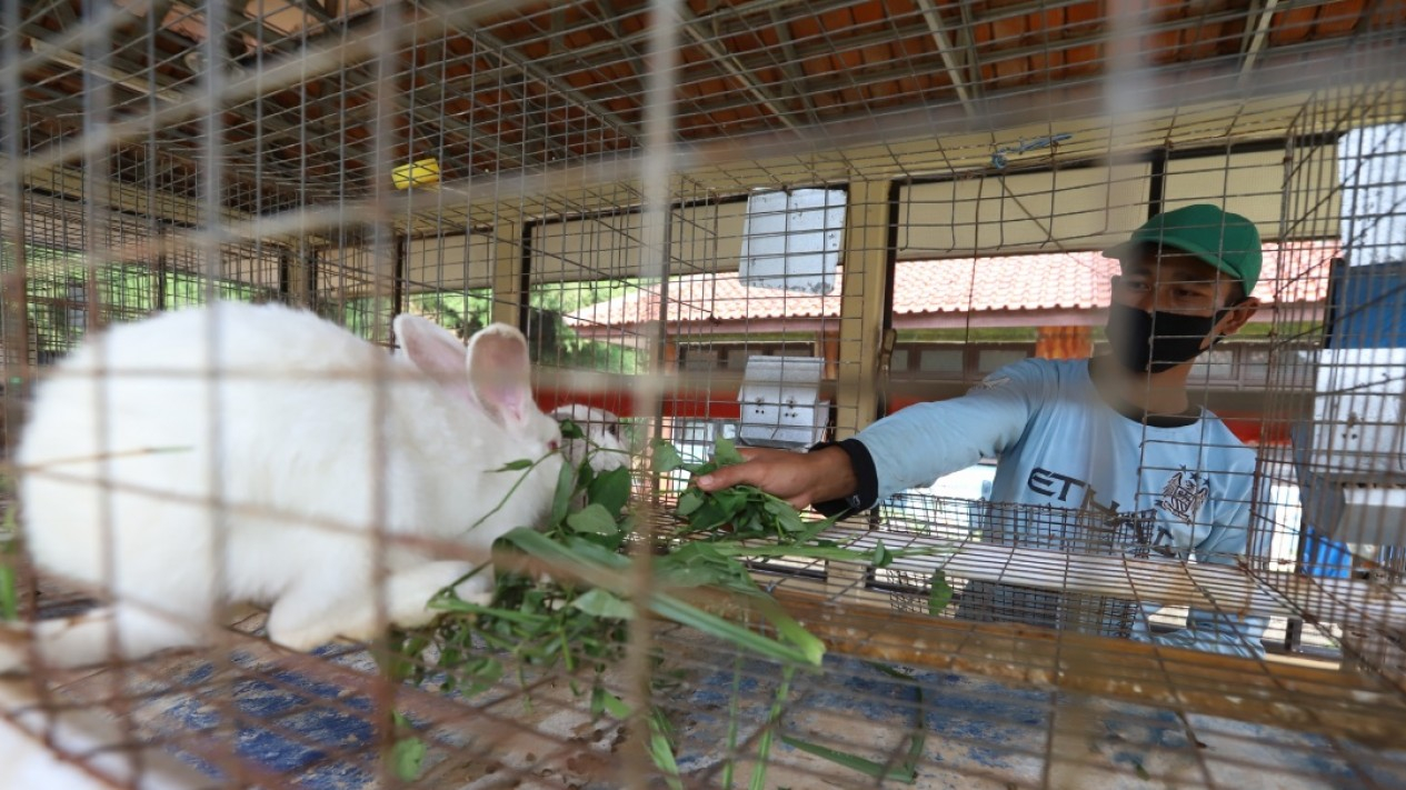 Taman Kelinci Bambu Apus