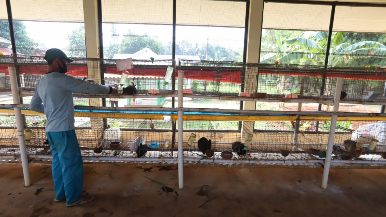 Taman Kelinci Bambu Apus