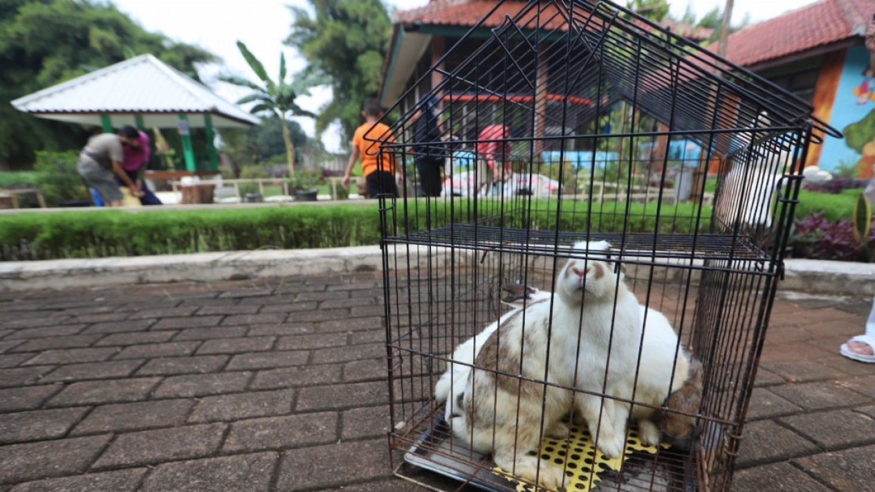 Taman Kelinci Bambu Apus