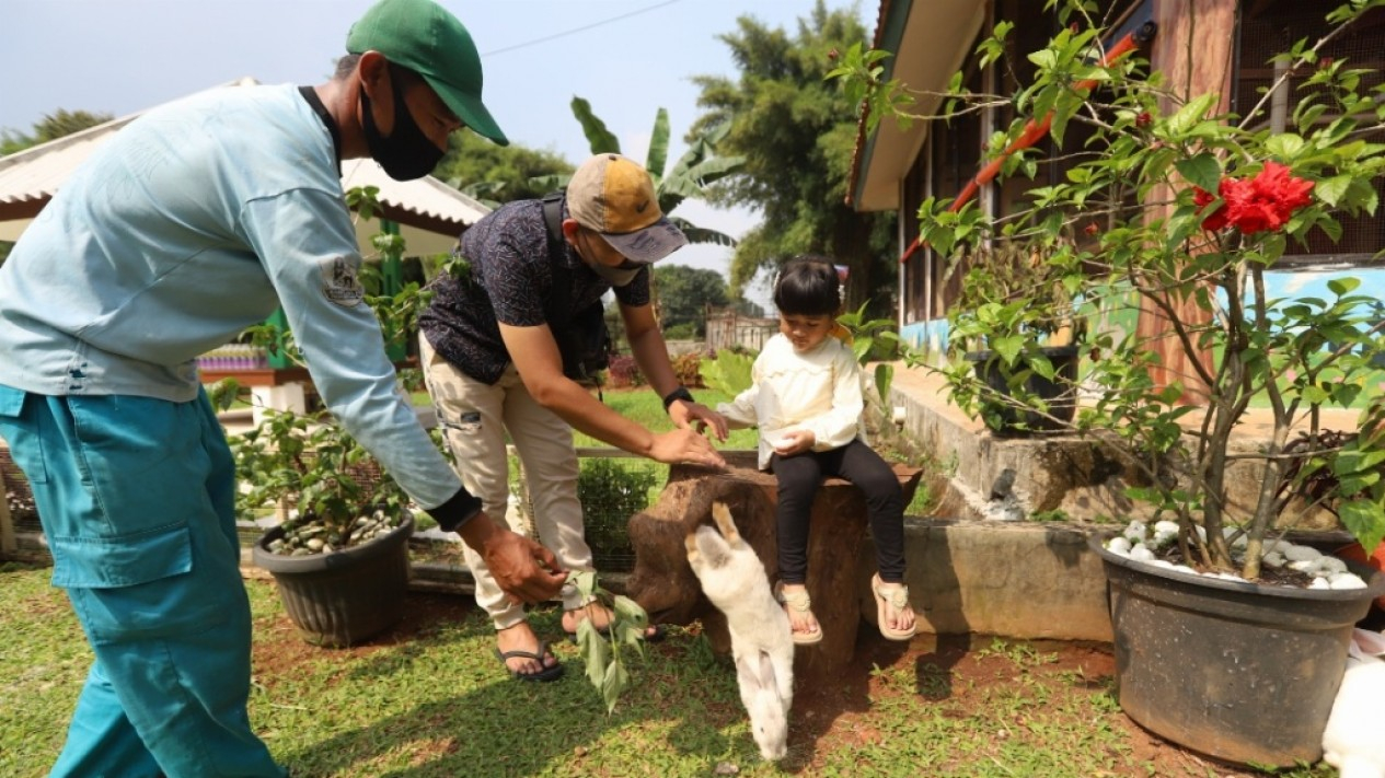 Taman Kelinci Bambu Apus
