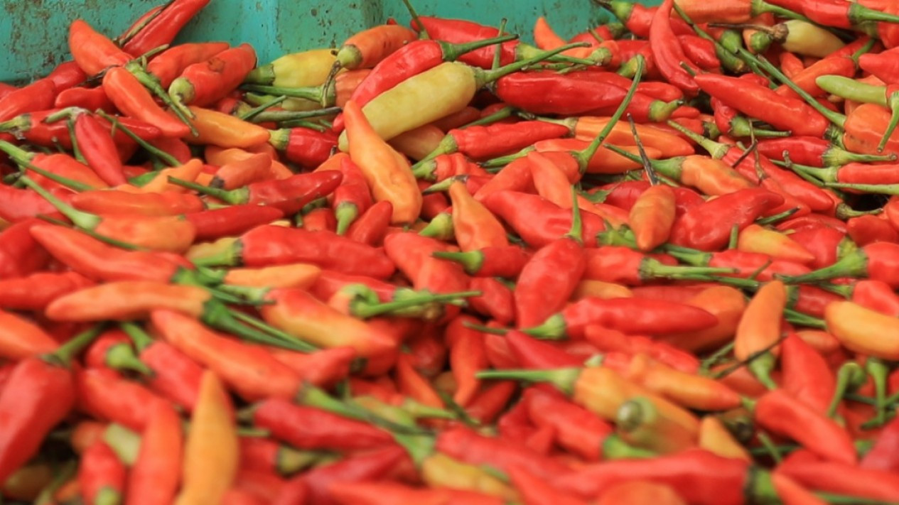 Terendah Sepanjang Sejarah, Inflasi 2024 di RI Hanya 1,57%