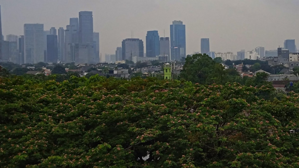 Realisasi Ruang Terbuka Hijau di Jakarta Baru 9 Persen