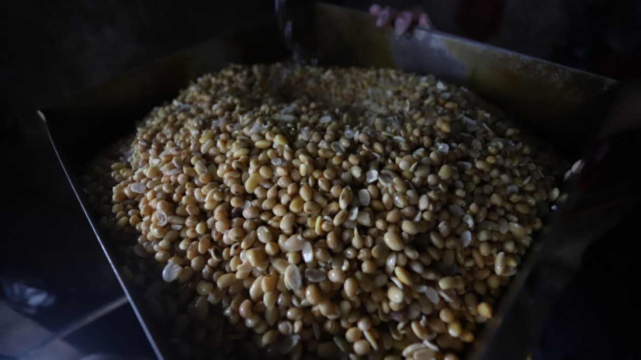 Harga Relatif Tinggi, Pemerintah Rencanakan Impor Kedelai