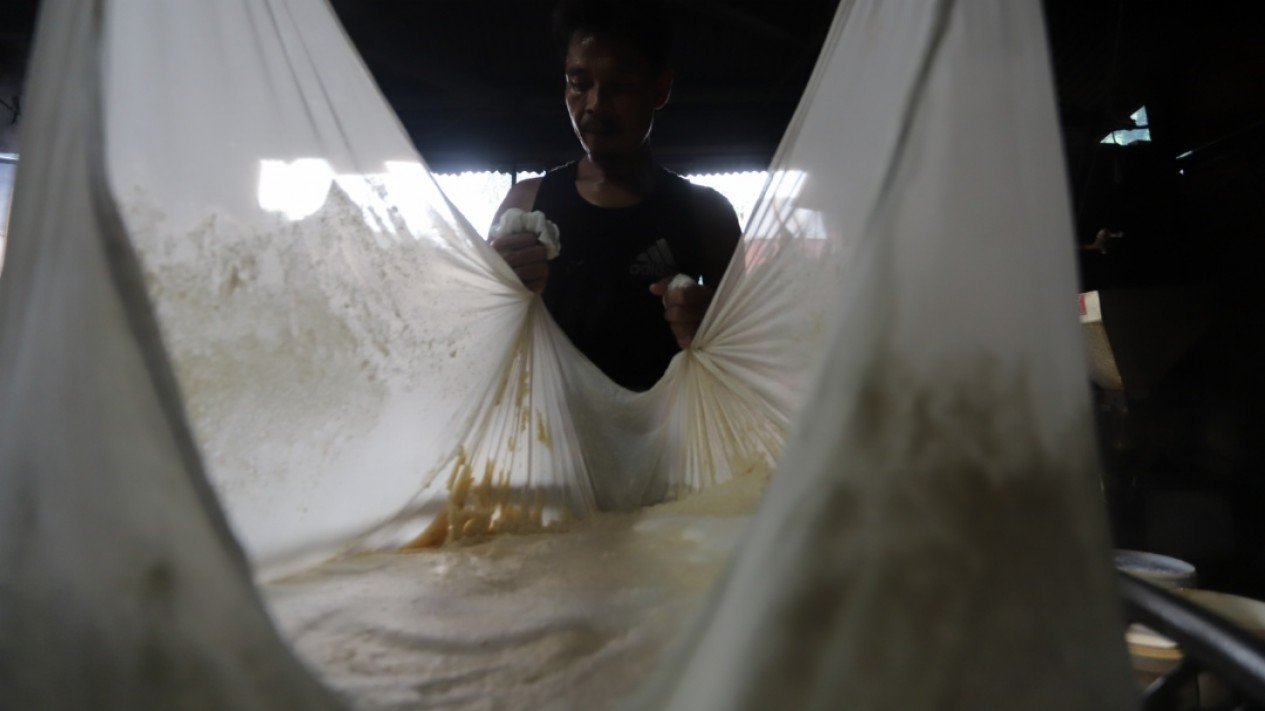 Harga Relatif Tinggi, Pemerintah Rencanakan Impor Kedelai