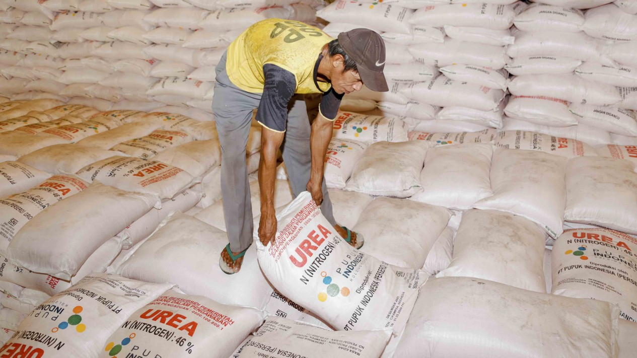 Pendistribusian Pupuk Urea dan NPK