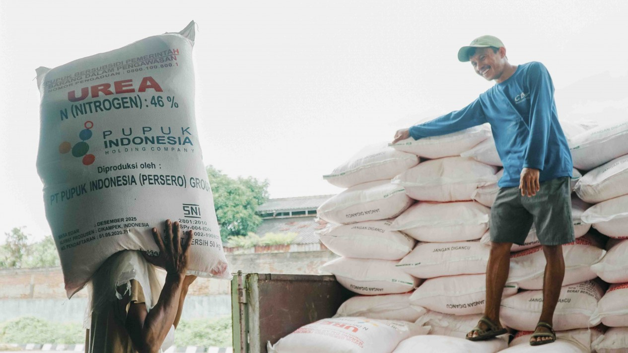Pendistribusian Pupuk Urea dan NPK
