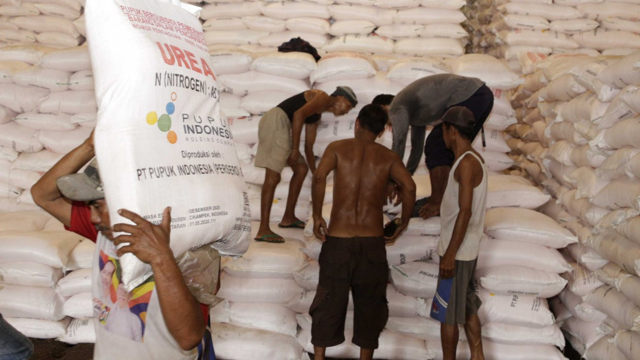 Pendistribusian Pupuk Urea dan NPK
