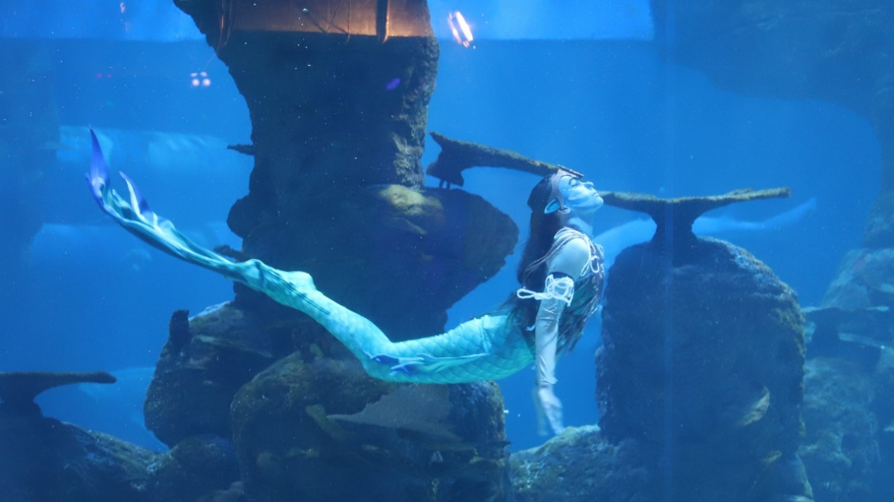 Liburan Sekolah di Jakarta Aquarium