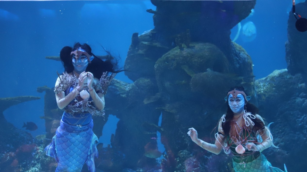 Liburan Sekolah di Jakarta Aquarium