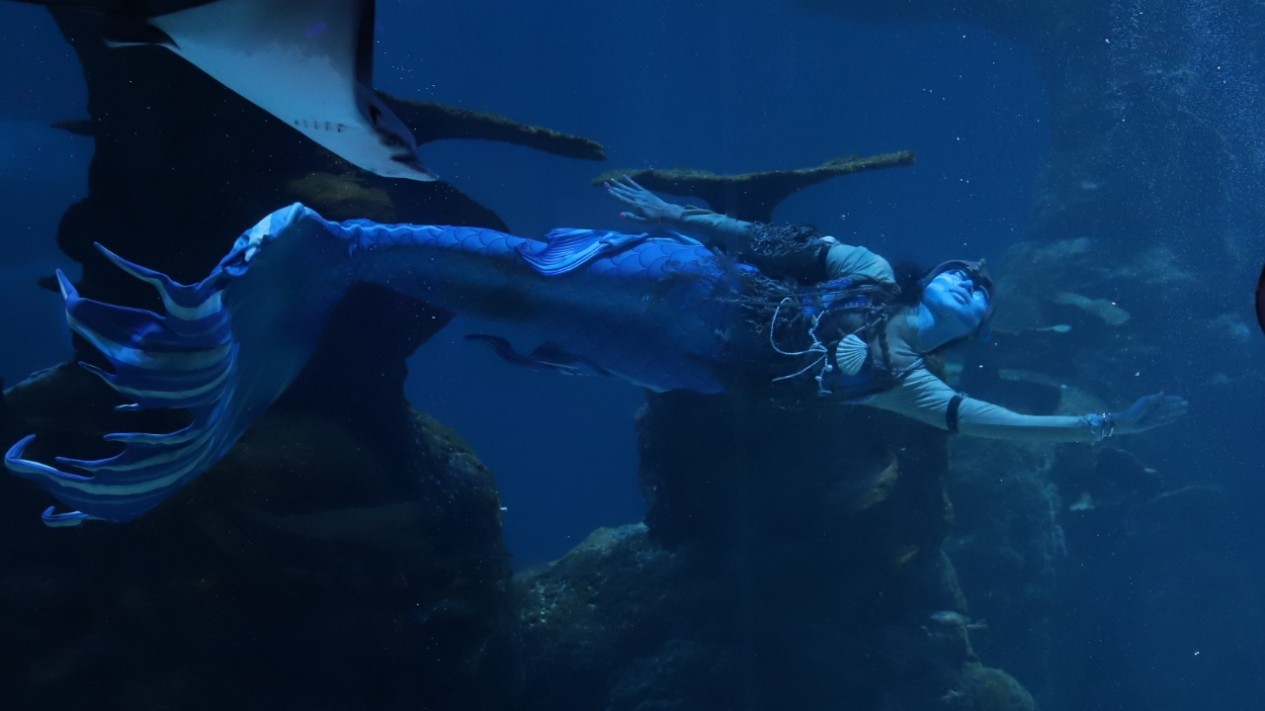 Liburan Sekolah di Jakarta Aquarium