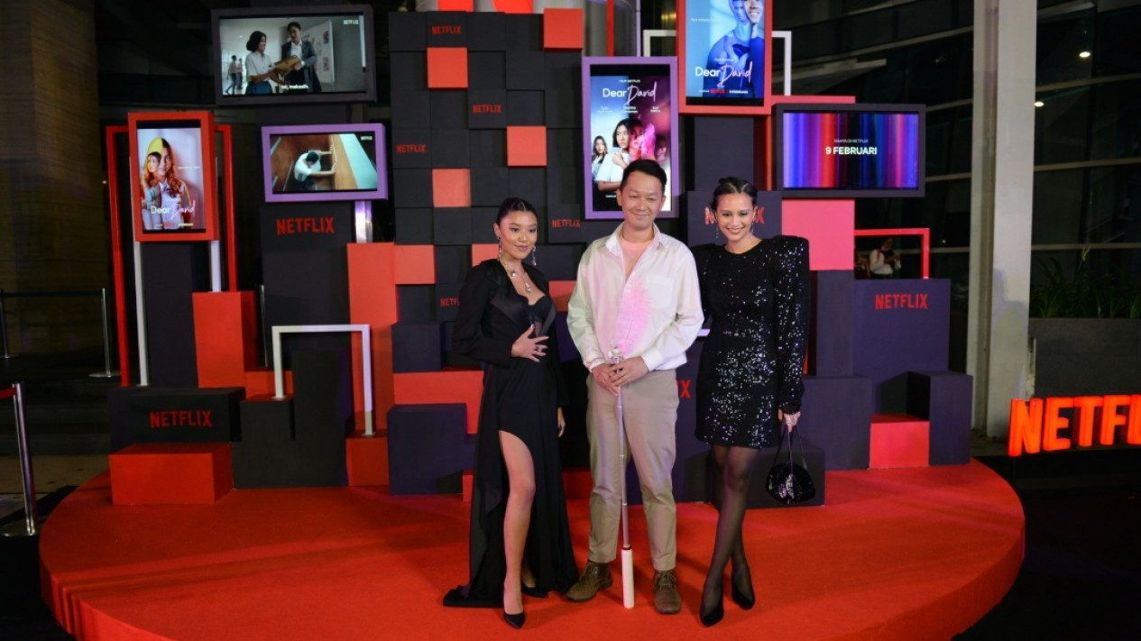 Red Carpet Film Dear David