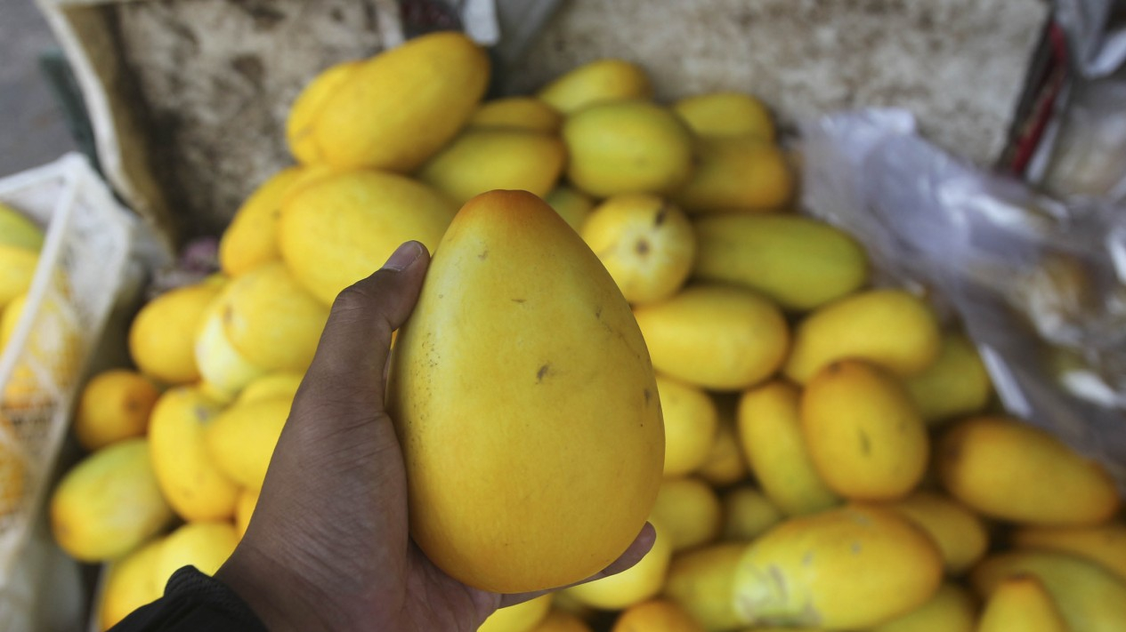 Belanja Timun Suri, Buah Khas Bulan Ramadan