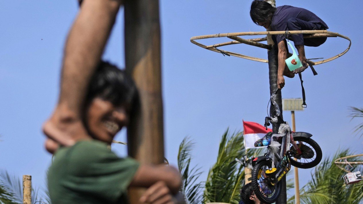 Lomba Panjat Pinang Peringati Hut Kemerdekaan Ri Ke 78 Vlixid