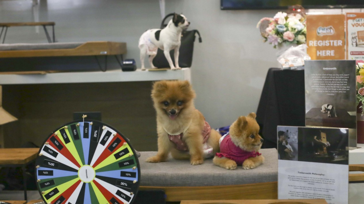 Pameran Indonesia International Pet Expo 2023