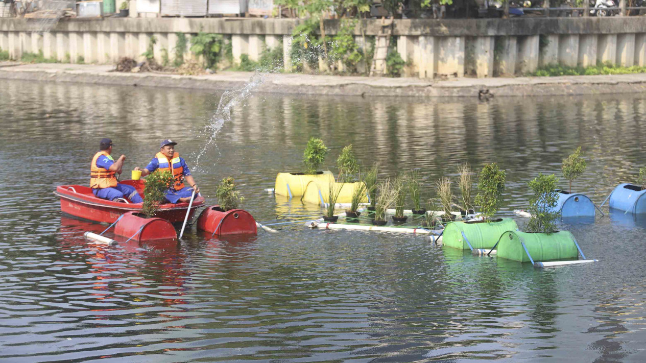 Penghijauan Di Waduk Melati Jakarta Untuk Kurangi Polusi