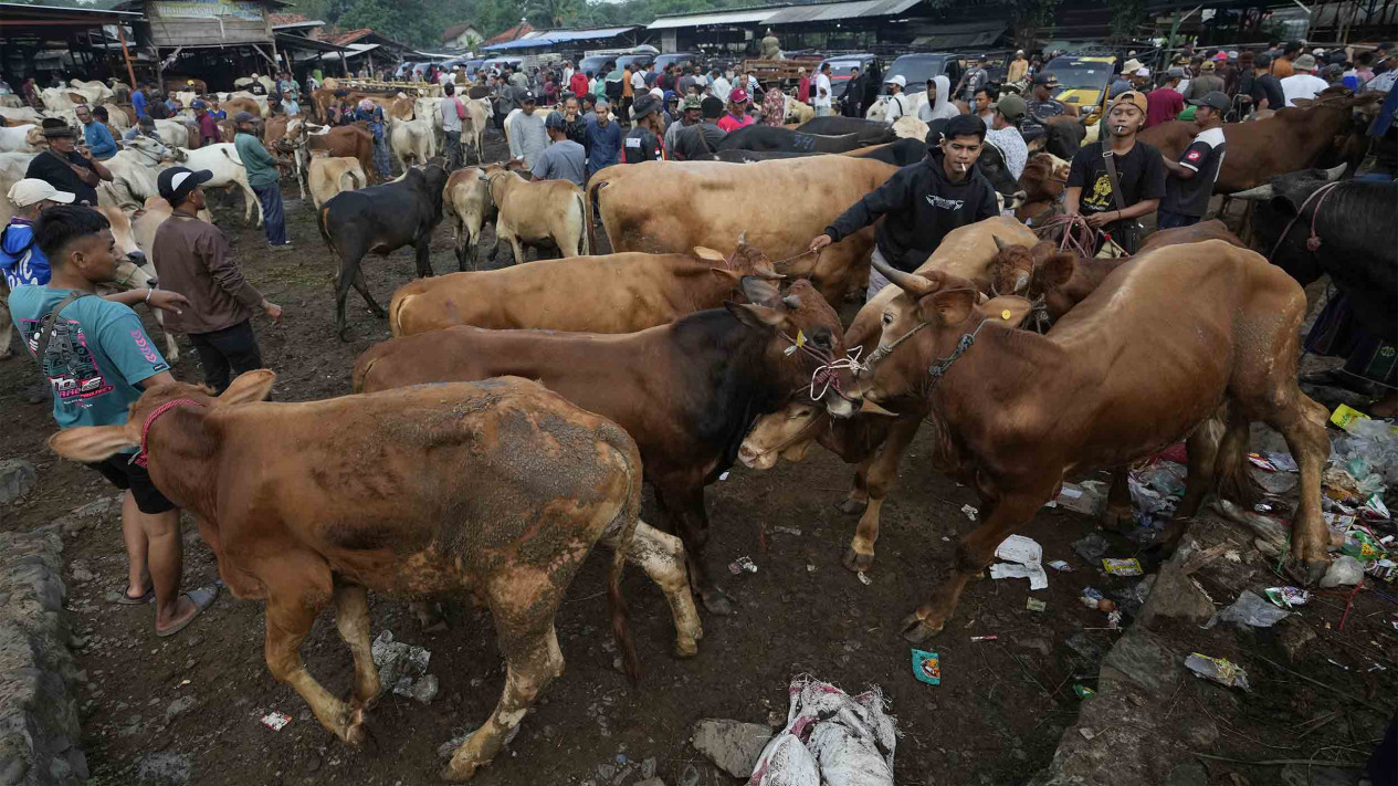 Jual Beli Hewan Kurban Jelang Hari Raya Idul Adha 2024